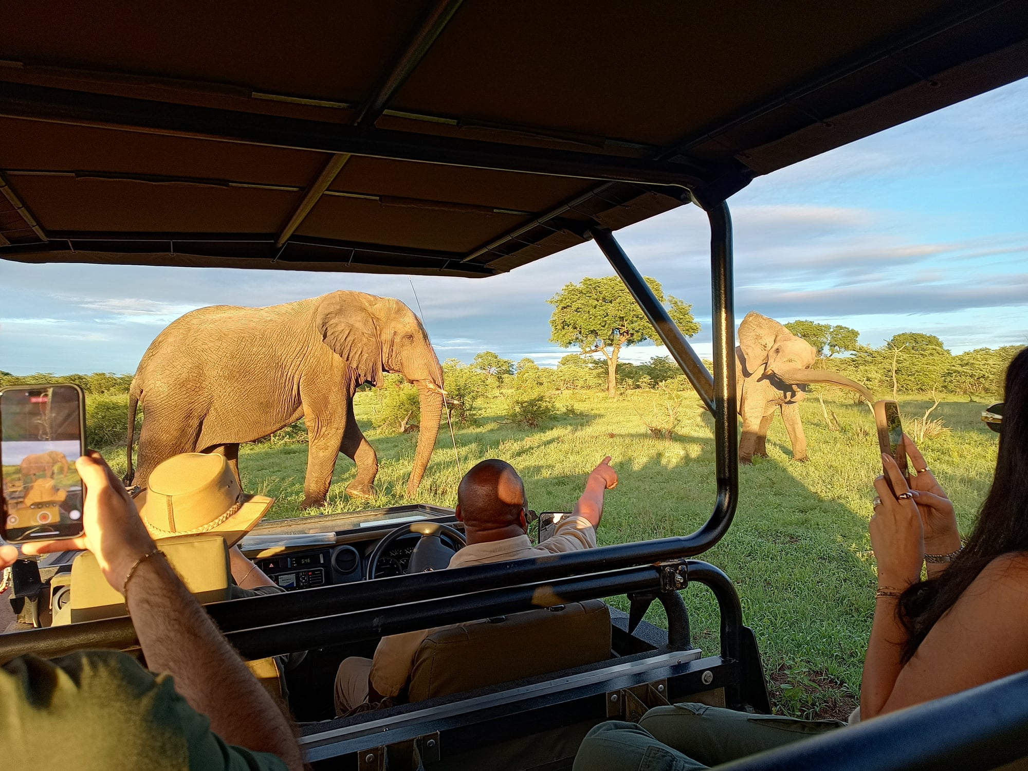 South Africa Safari